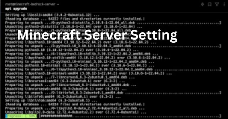 Minecraft Server Setting